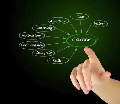 Diagram of Career development